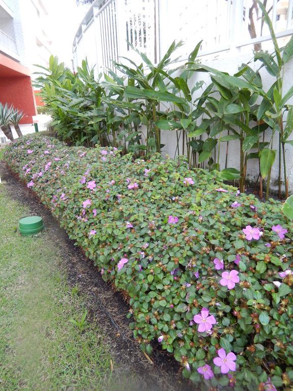 Apartamento Vista Ao Mar & Lazer Total